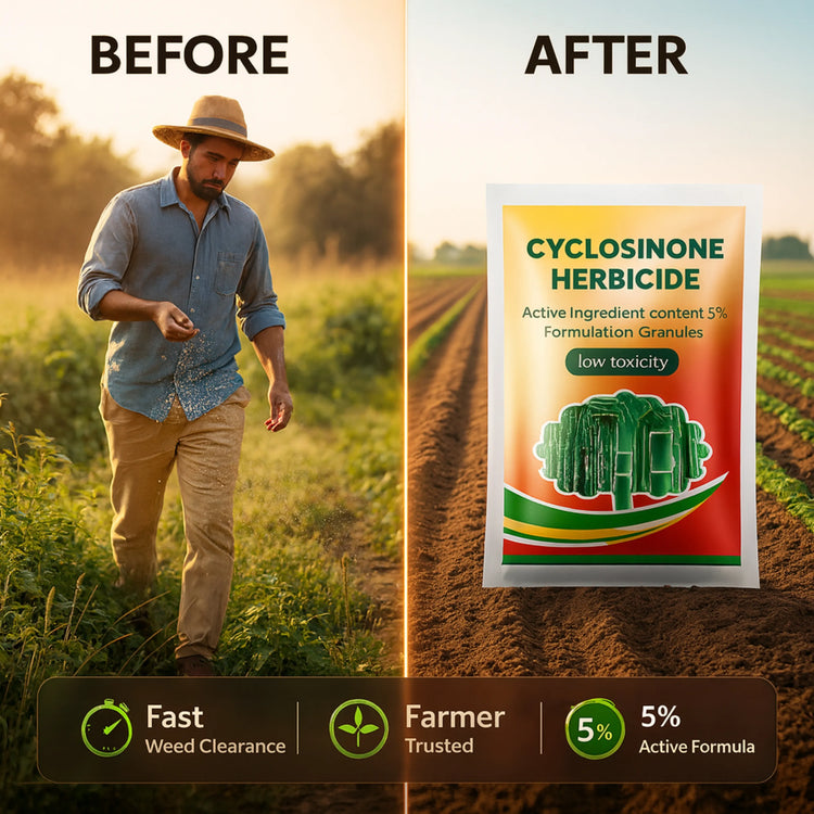 Cyclora Herbicide Granules | 🔥BUY 1 GET 1 FREE 🔥